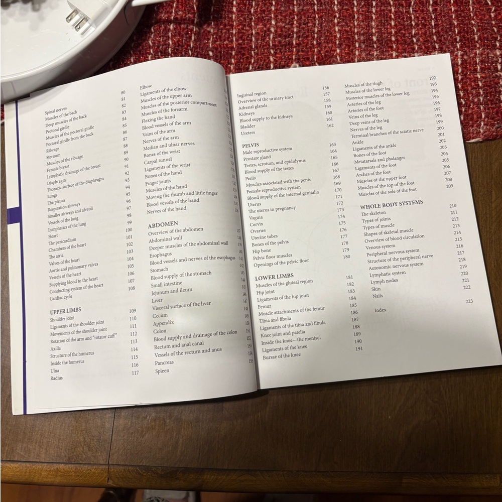 Human Body Coloring Book - Picture 15 of 15